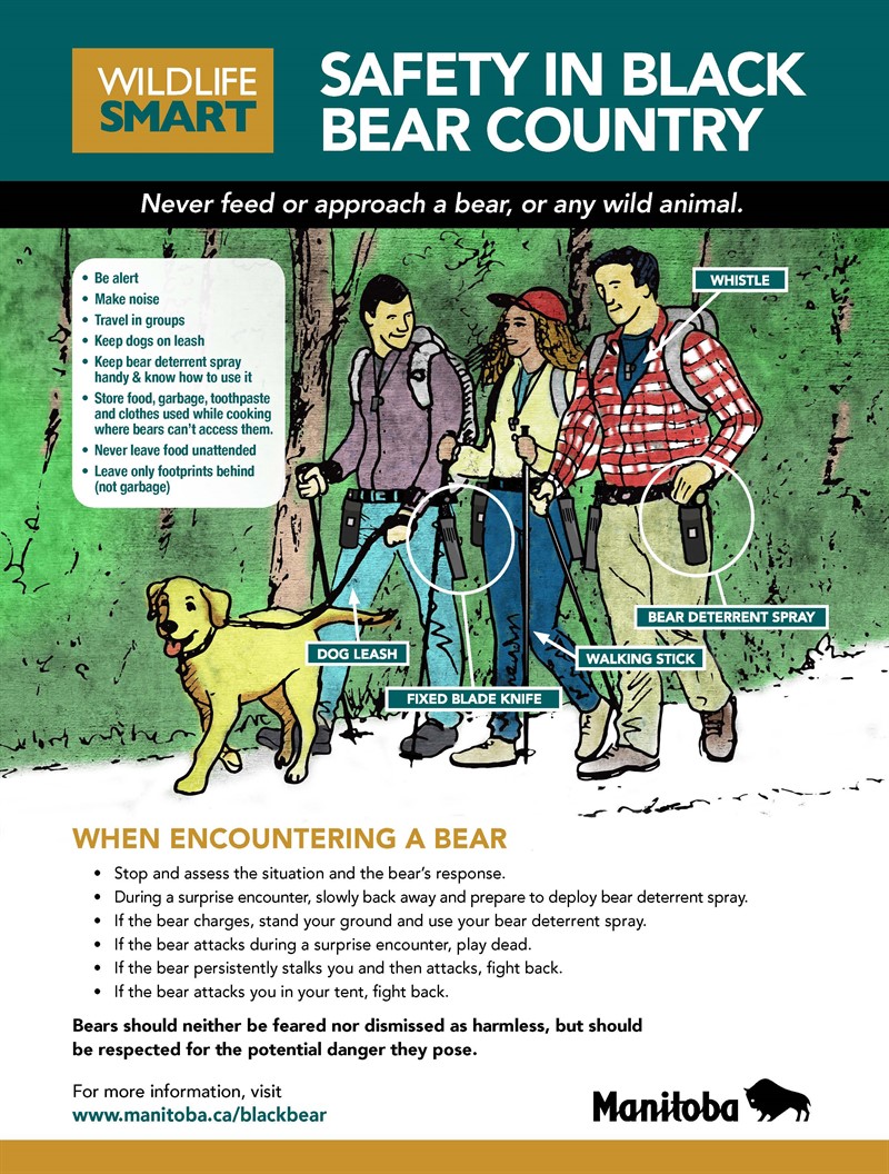 Wildlife smart - Bear smart