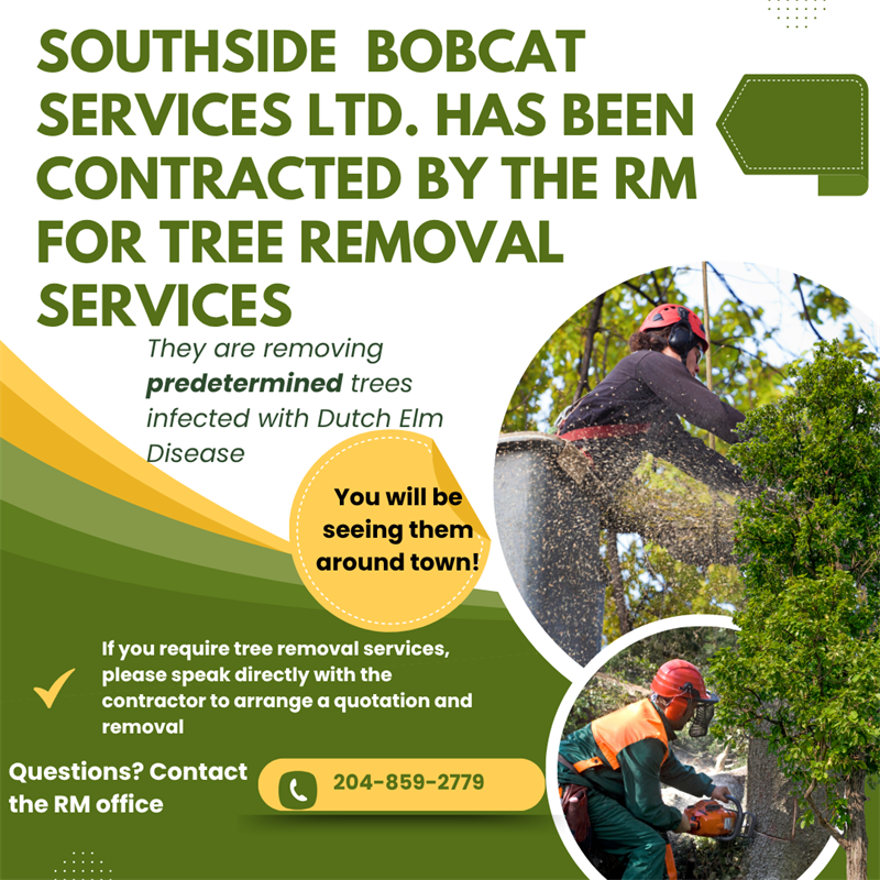 Tree_Removal