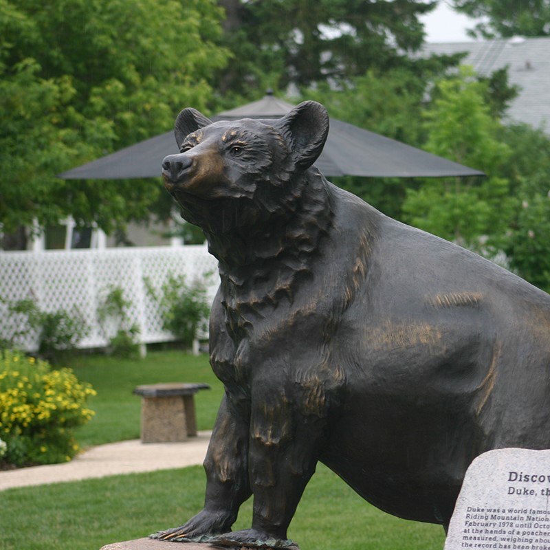 things-to-see-and-do(1)